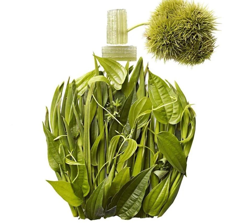 Sustainable Fragrances